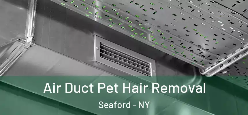 Air Duct Pet Hair Removal Seaford - NY