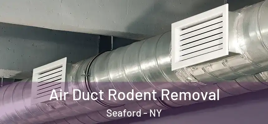 Air Duct Rodent Removal Seaford - NY