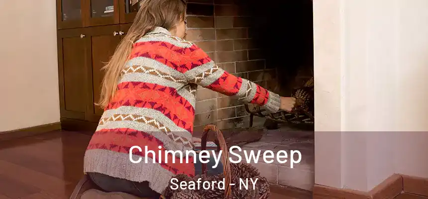 Chimney Sweep Seaford - NY