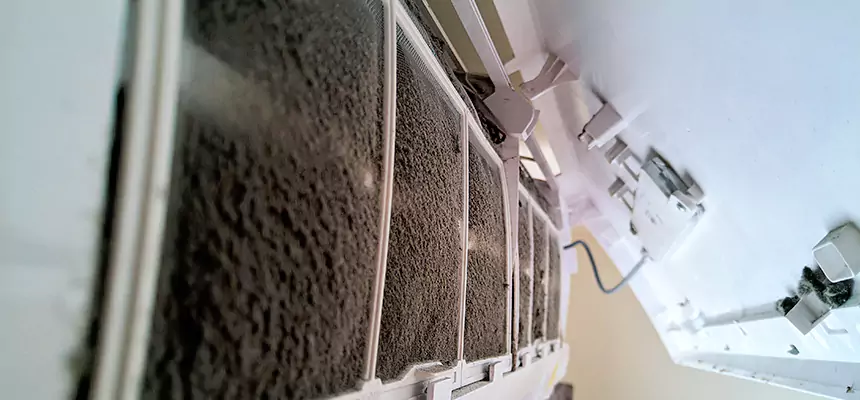 Preventive Air Duct Bacteria Removal in Seaford