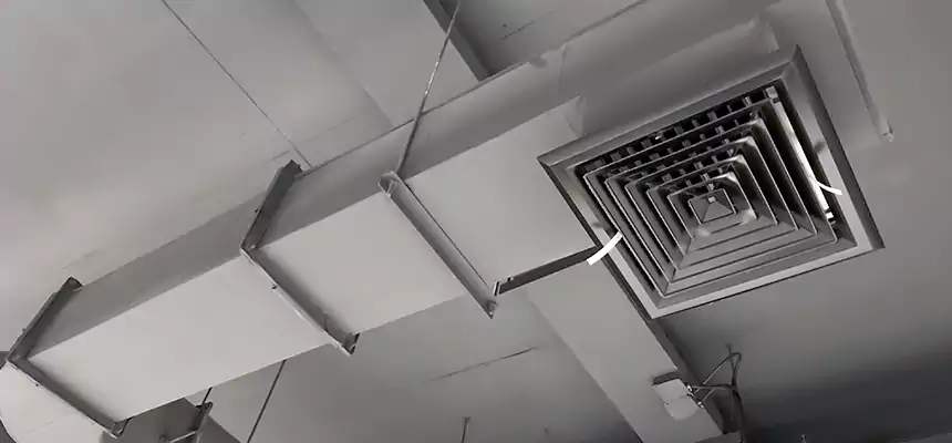 Our Pest Removal From Ducts Services in Seaford, NY