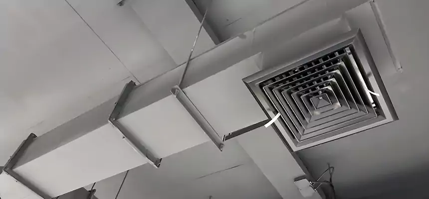 Our Rodent Droppings In Vents Services in Seaford, NY