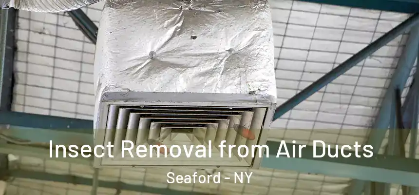  Insect Removal from Air Ducts Seaford - NY