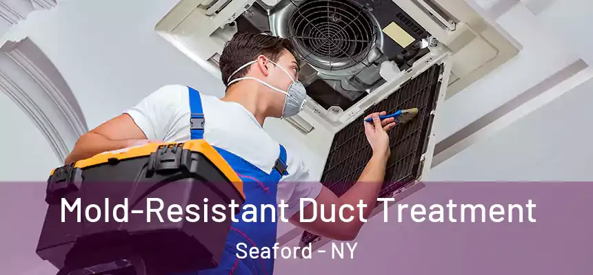  Mold-Resistant Duct Treatment Seaford - NY