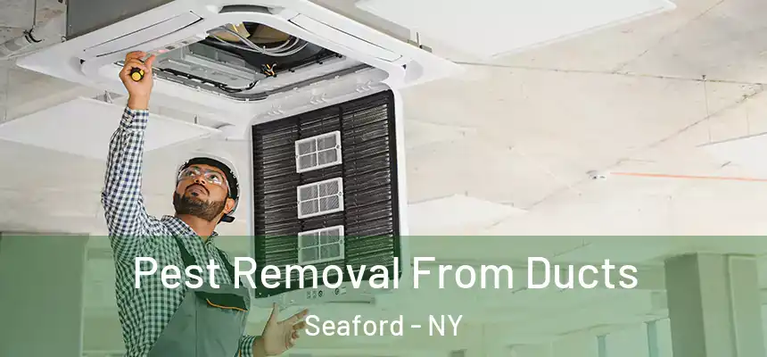  Pest Removal From Ducts Seaford - NY