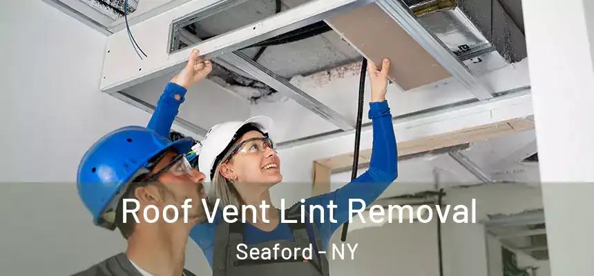Roof Vent Lint Removal Seaford - NY