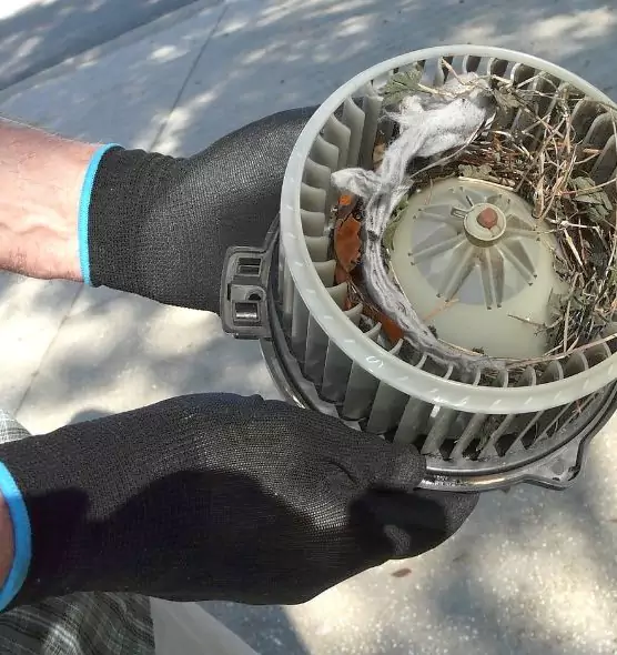 About Air Duct Mice Removal in Seaford, NY