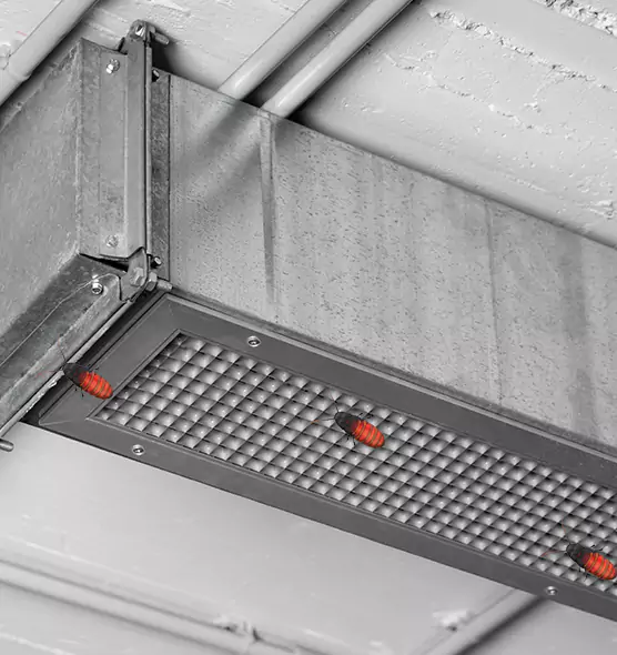 Affordable Insect Removal from Air Ducts in Seaford, NY