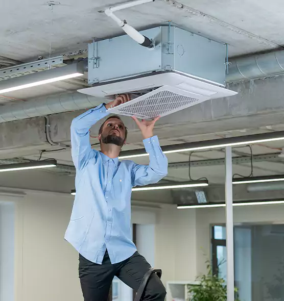 Advanced Rodent Droppings In Vents in Seaford, NY