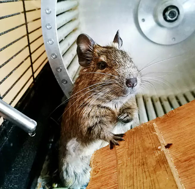 Why Homeowners & Businesses Trust Us Seaford, NY