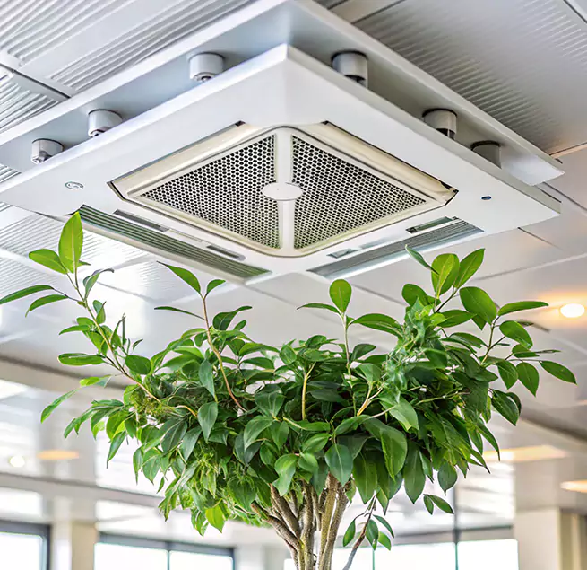 Why Homeowners & Businesses Trust Us in Seaford, NY?